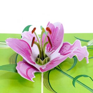 3D Blahoželanie - Lilie
