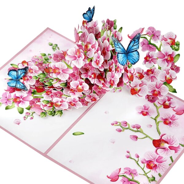 3D Blahoželanie - Orchidea a motýle