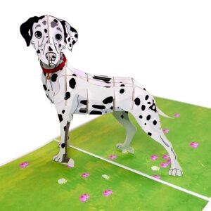 3D Blahoželanie - Dalmatín