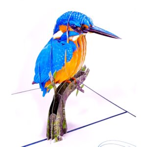 3D Blahoželanie - Ledňáček