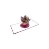 3d-blahozelanie-iris-404400.jpg 3D Blahoželanie - Iris