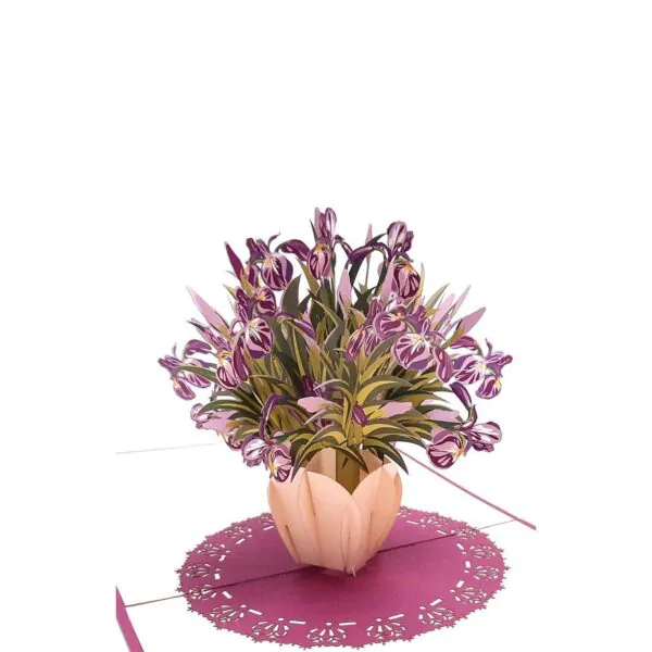 3d-blahozelanie-iris-789842.jpg 3D Blahoželanie - Iris