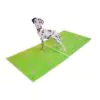 3D Blahoželanie - Dalmatín